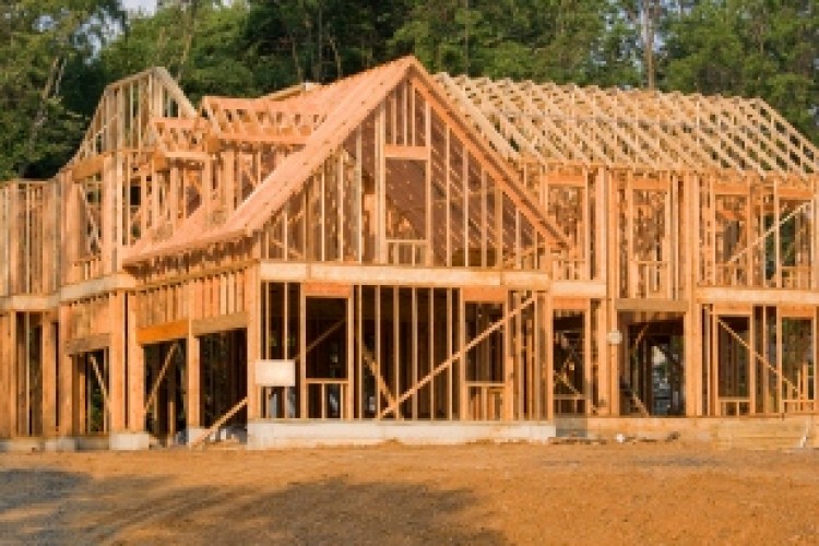 Reducing Timber Risks