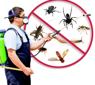 The Different Kinds Of Bug Control